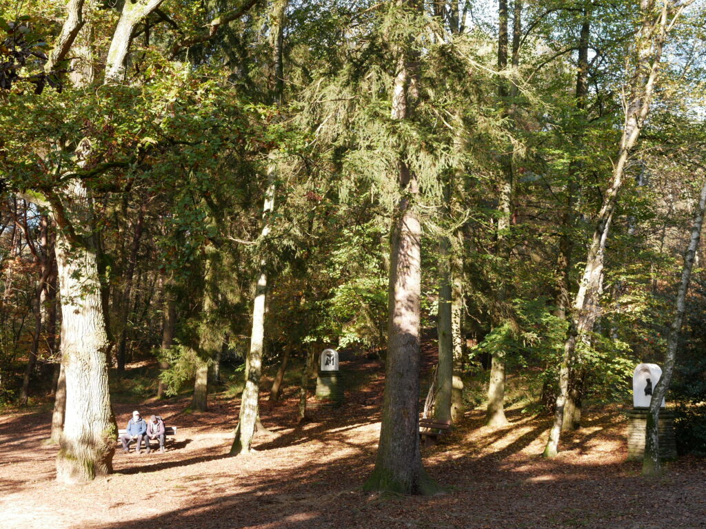 Waldlichtung am Birgelener Pützchen